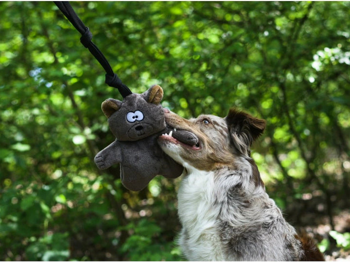 Squeaky Teddy Bear
