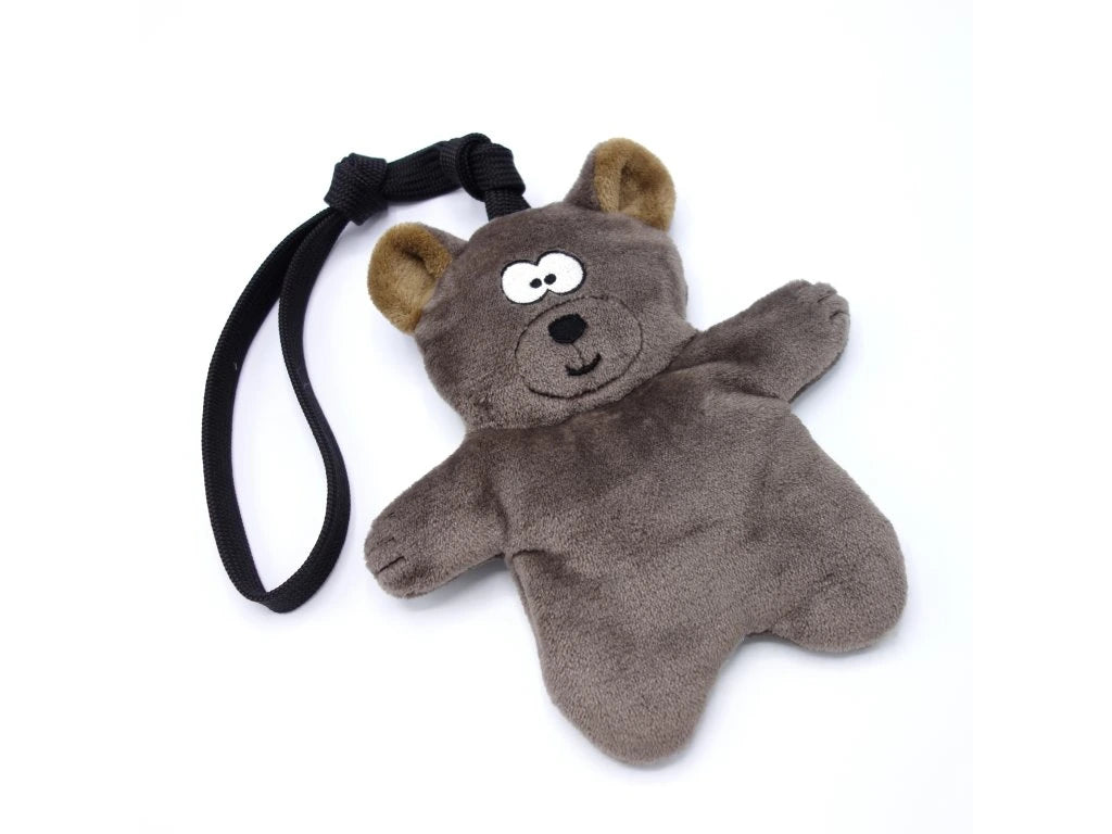 Squeaky Teddy Bear