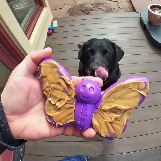 Butterfly Nylon Chew & Enrichment Toy