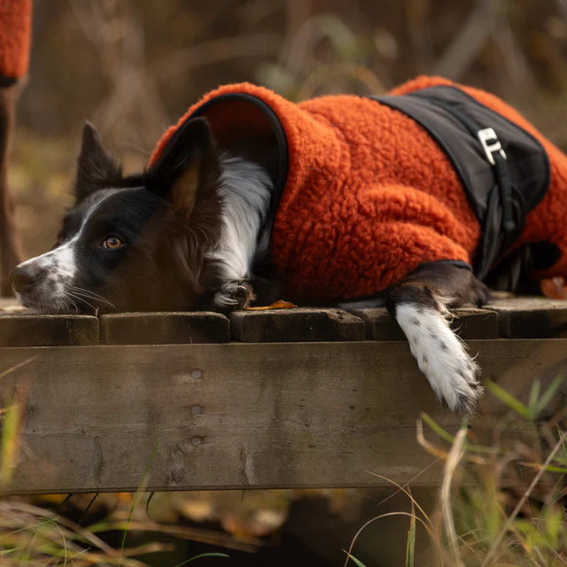 Hundlands Wool Blanket Hybrido