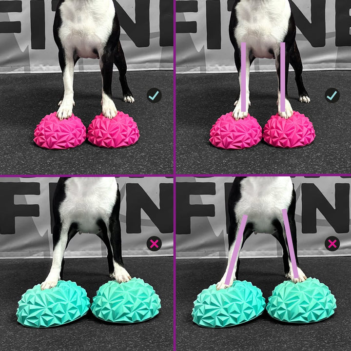 Flexiness®ToyPawStackers