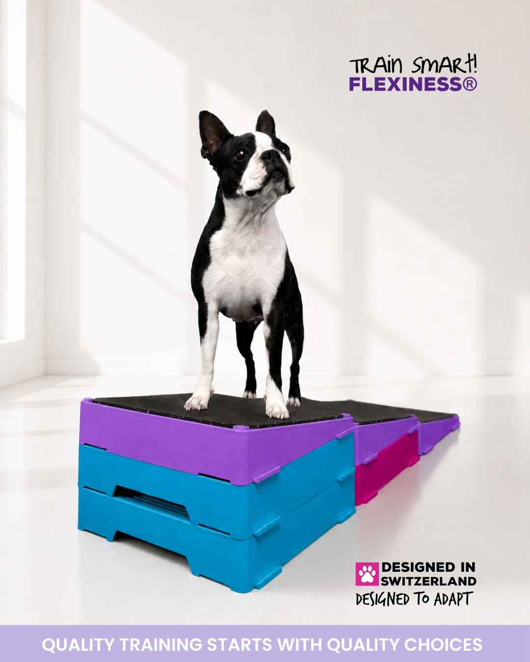 Flexiness Flexblox Wedge