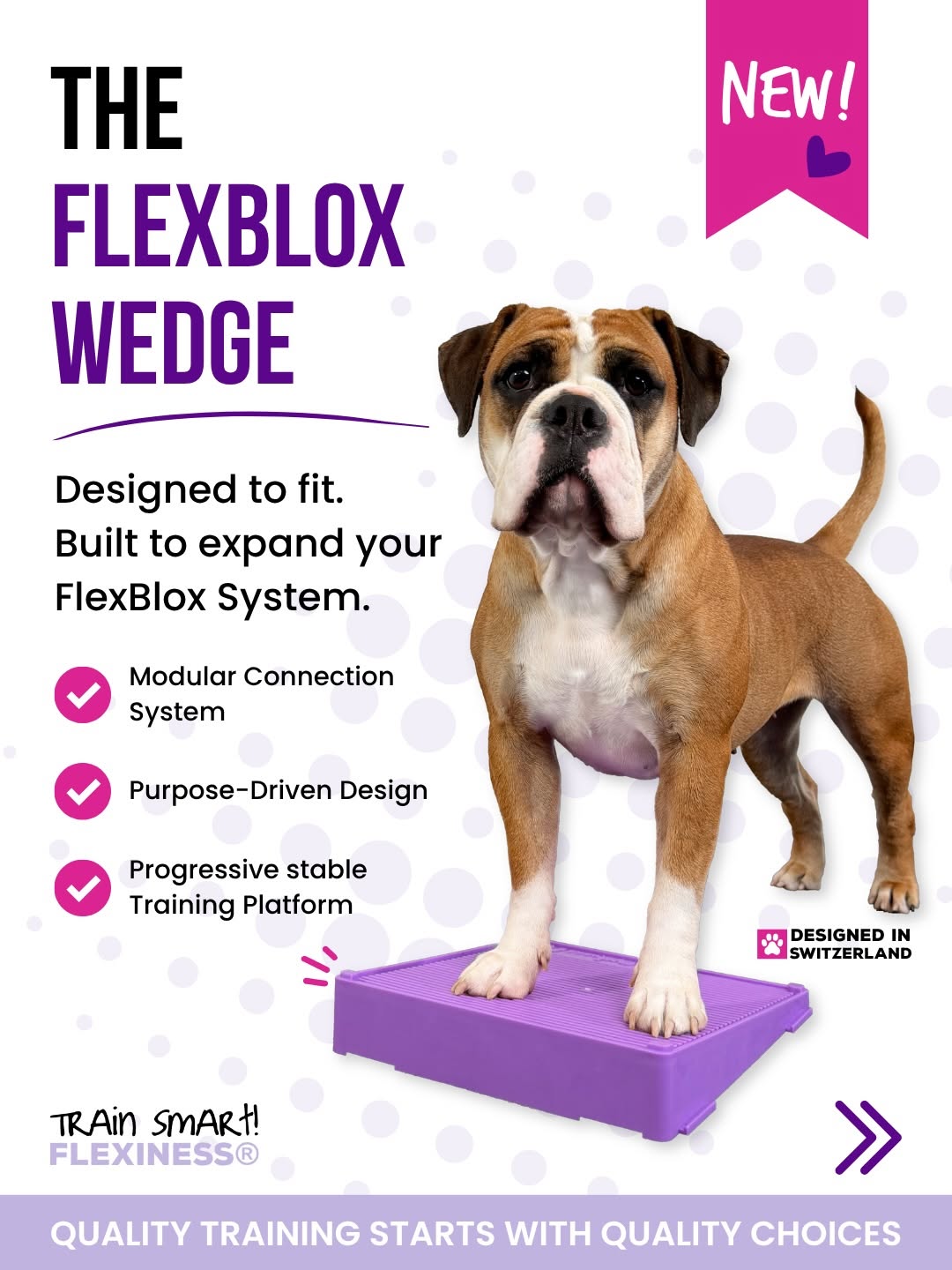 Flexiness Flexblox Wedge