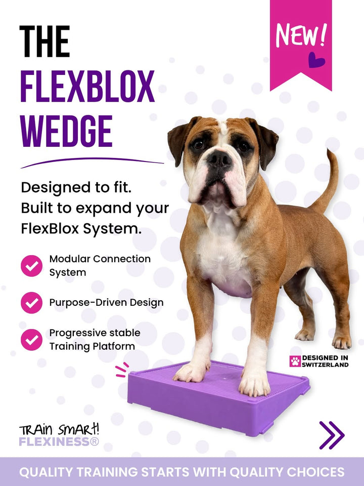 Flexiness Flexblox Wedge