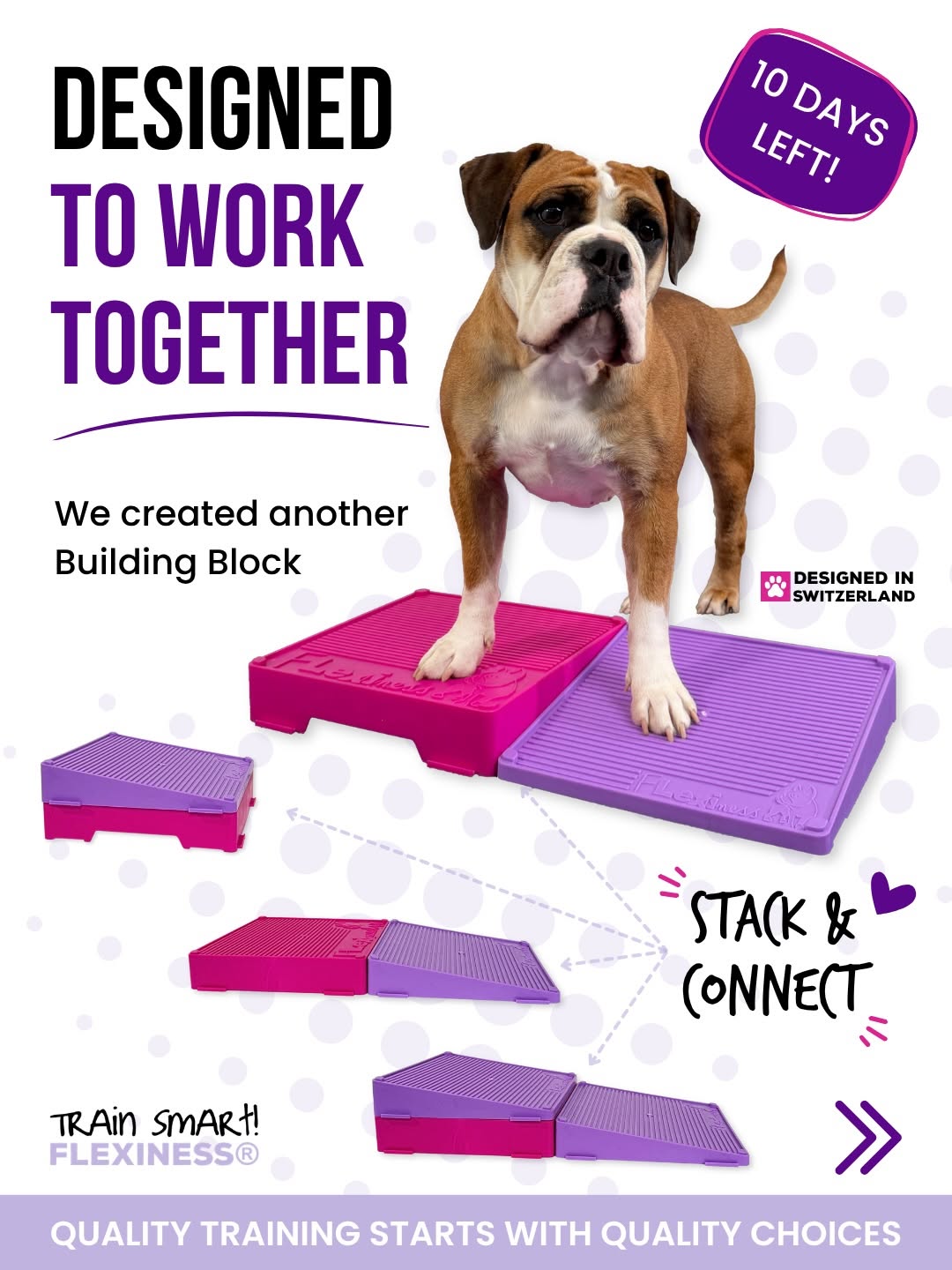 Flexiness Flexblox Wedge