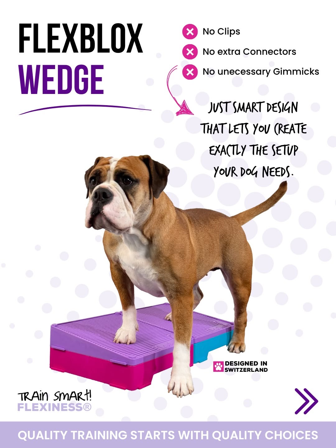 Flexiness Flexblox Wedge