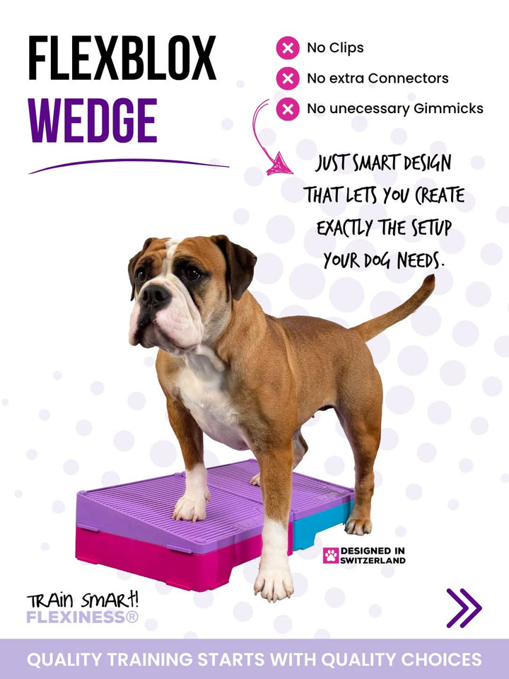 Flexiness Flexblox Wedge