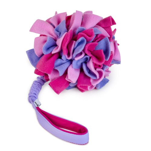 Pom Pom with HR ball and bungee tug