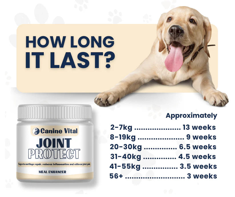 Canine Vital Injury Support & Joint Protect Bundle