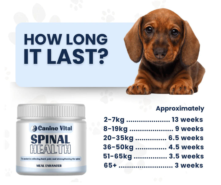 Canine Vital Spinal Health Supplement