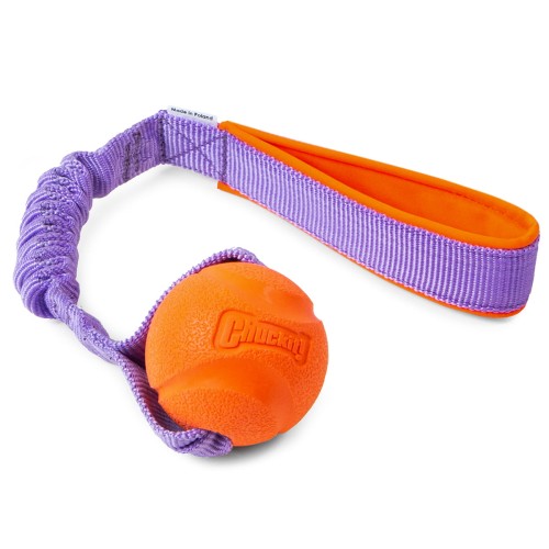 Chuckit Ball with bungee tug