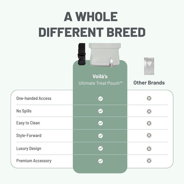 Voila Ultimate Treat Pouch - Large