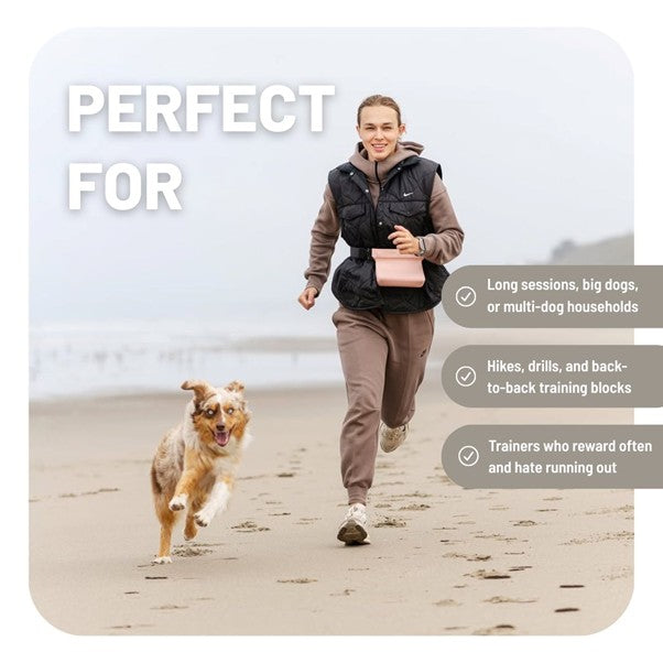 Voila Ultimate Treat Pouch - Large