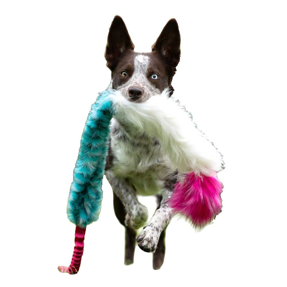 Squeaky Faux fur & Sheepskin bungee tug