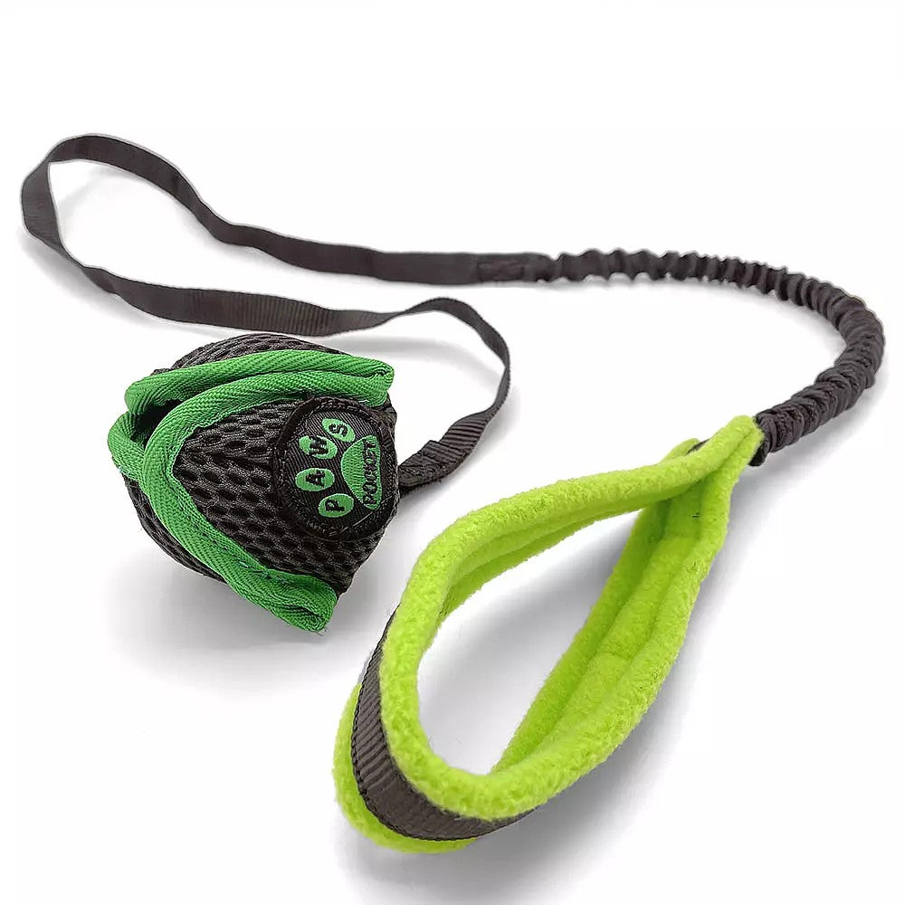 Paws Made™ Paws Pocket Petal Ball Long Bungee Chaser