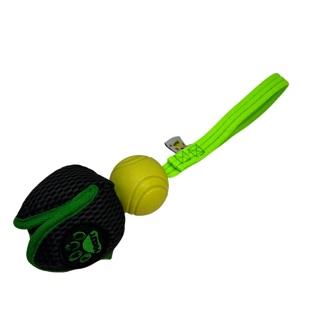 Paws Made ™ Treat Pod Flyer