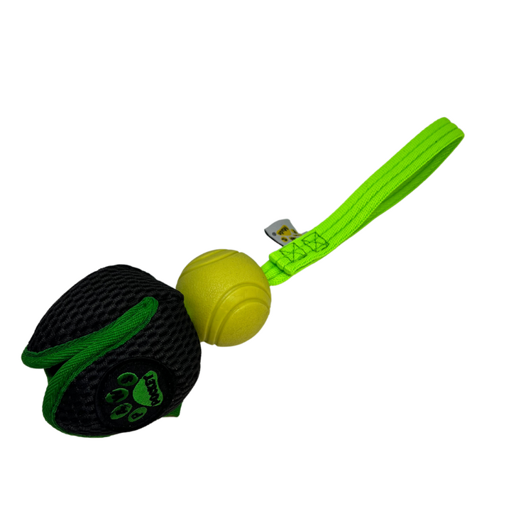 Paws Made ™ Treat Pod Flyer