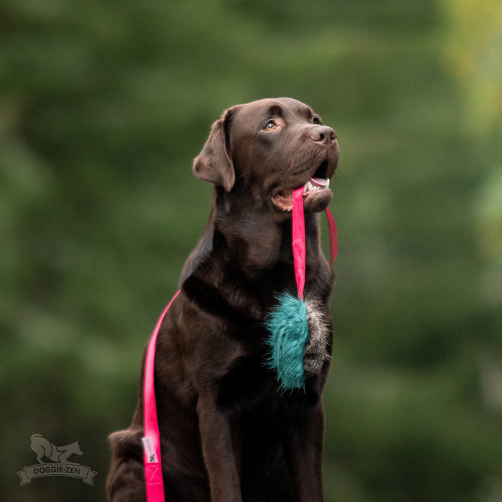 Squeaky Beaver Fur Chaser