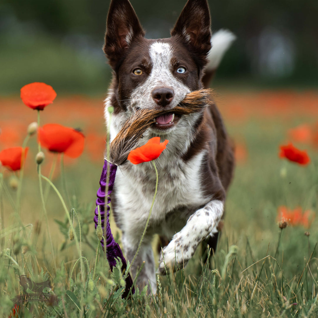 Deerskin Bungee Tug
