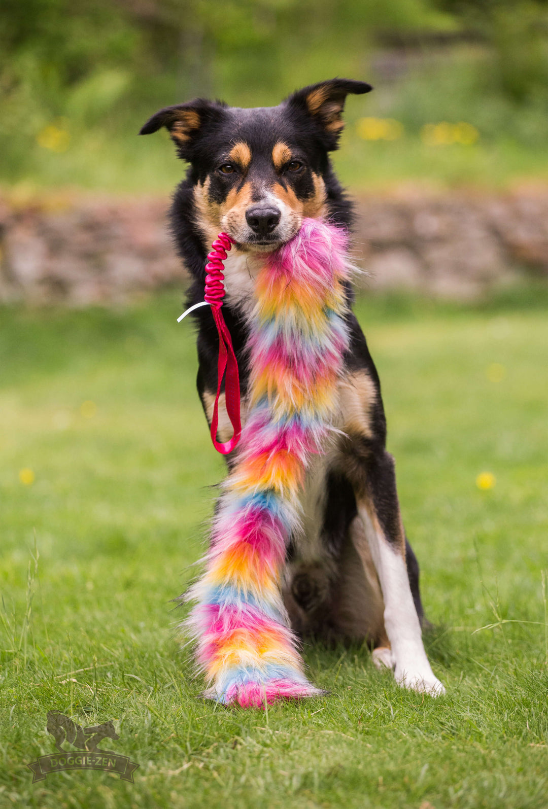 Long Faux fur Bungee CHASER