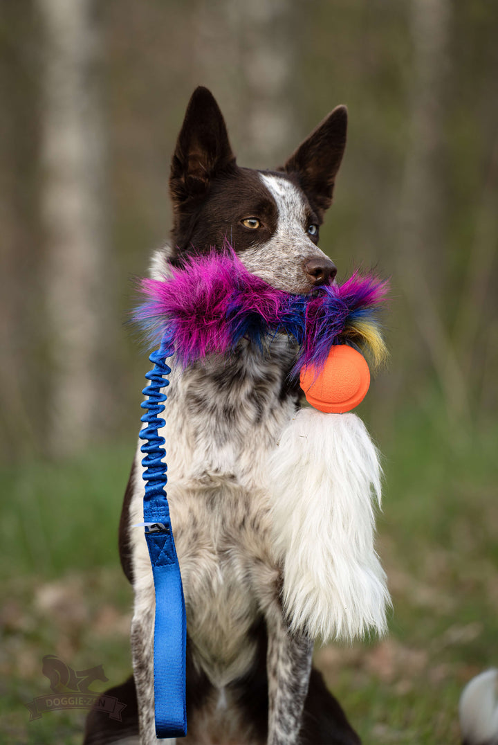 Chuckit ball with Faux fur & Sheepskin tail bungee tug