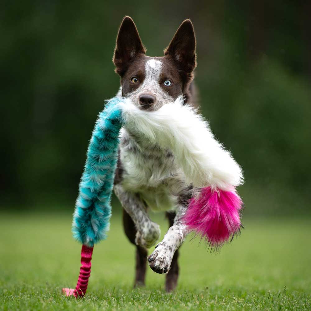 Squeaky Faux fur & Sheepskin bungee tug