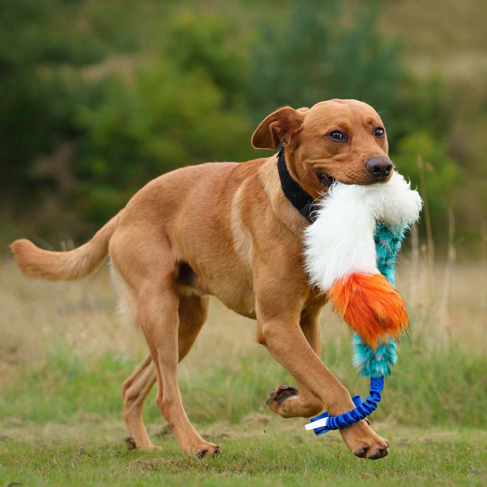 Squeaky Faux fur & Sheepskin bungee tug