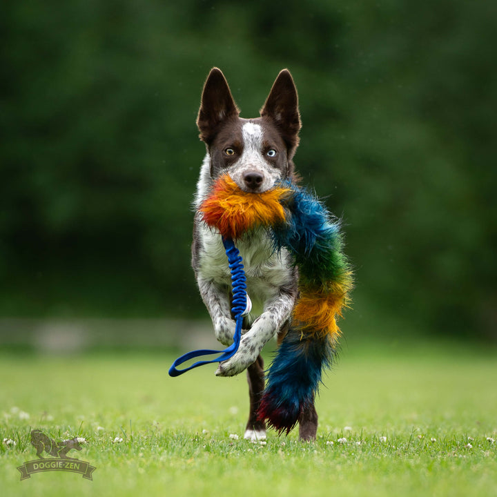 Long Faux fur Bungee CHASER