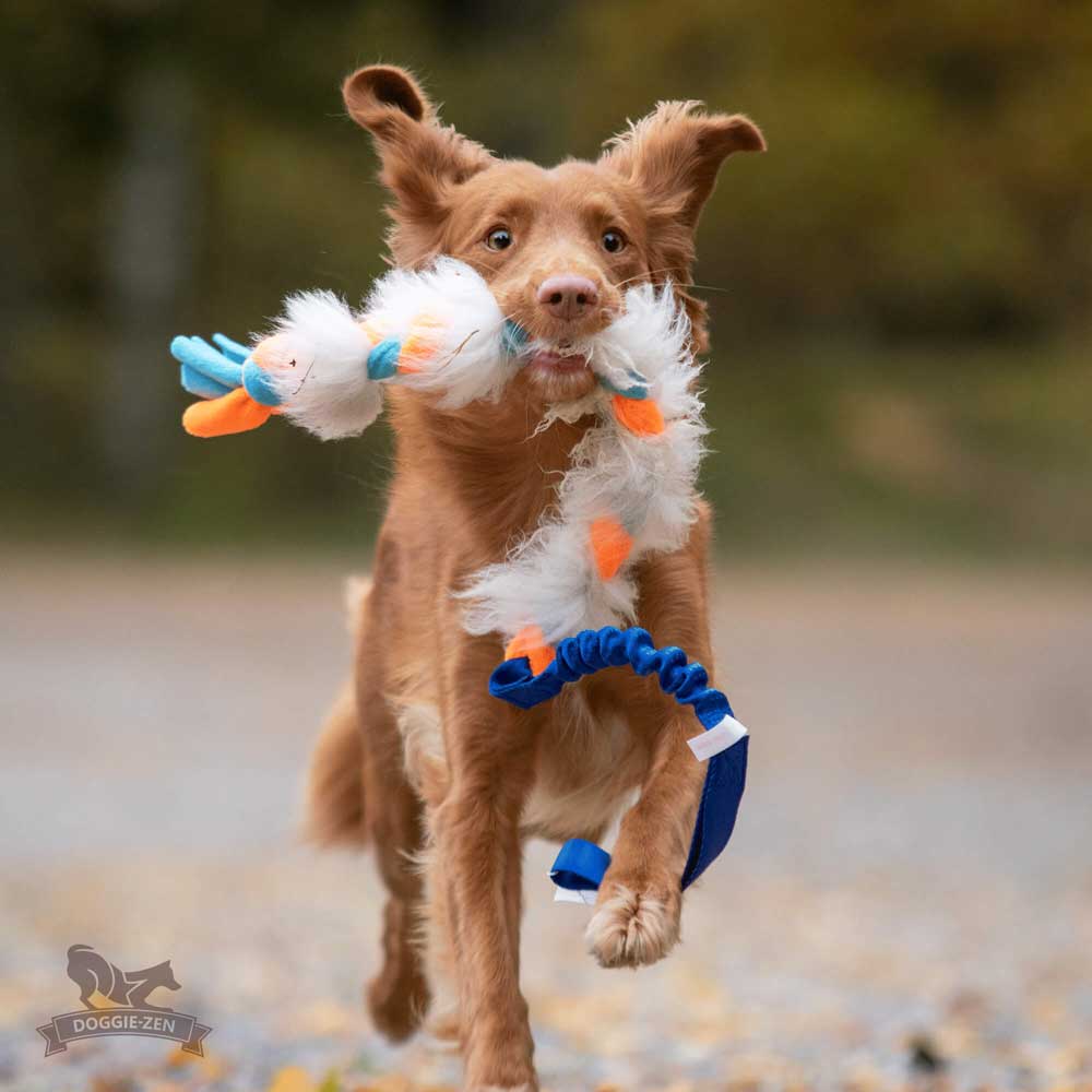 Braided fleece and sheepskin bungee tug