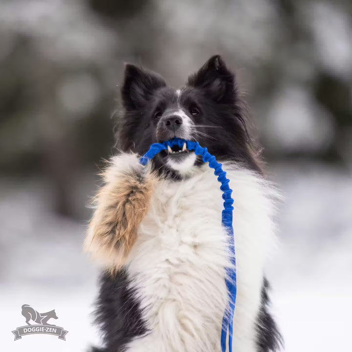 Pocket Bungee Fox tug