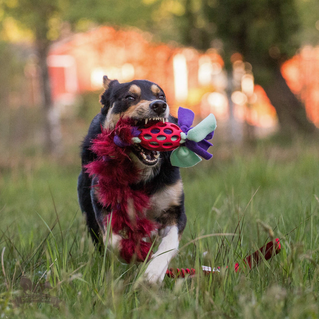 Holee Football Fleece and Faux fur Bungee Tug