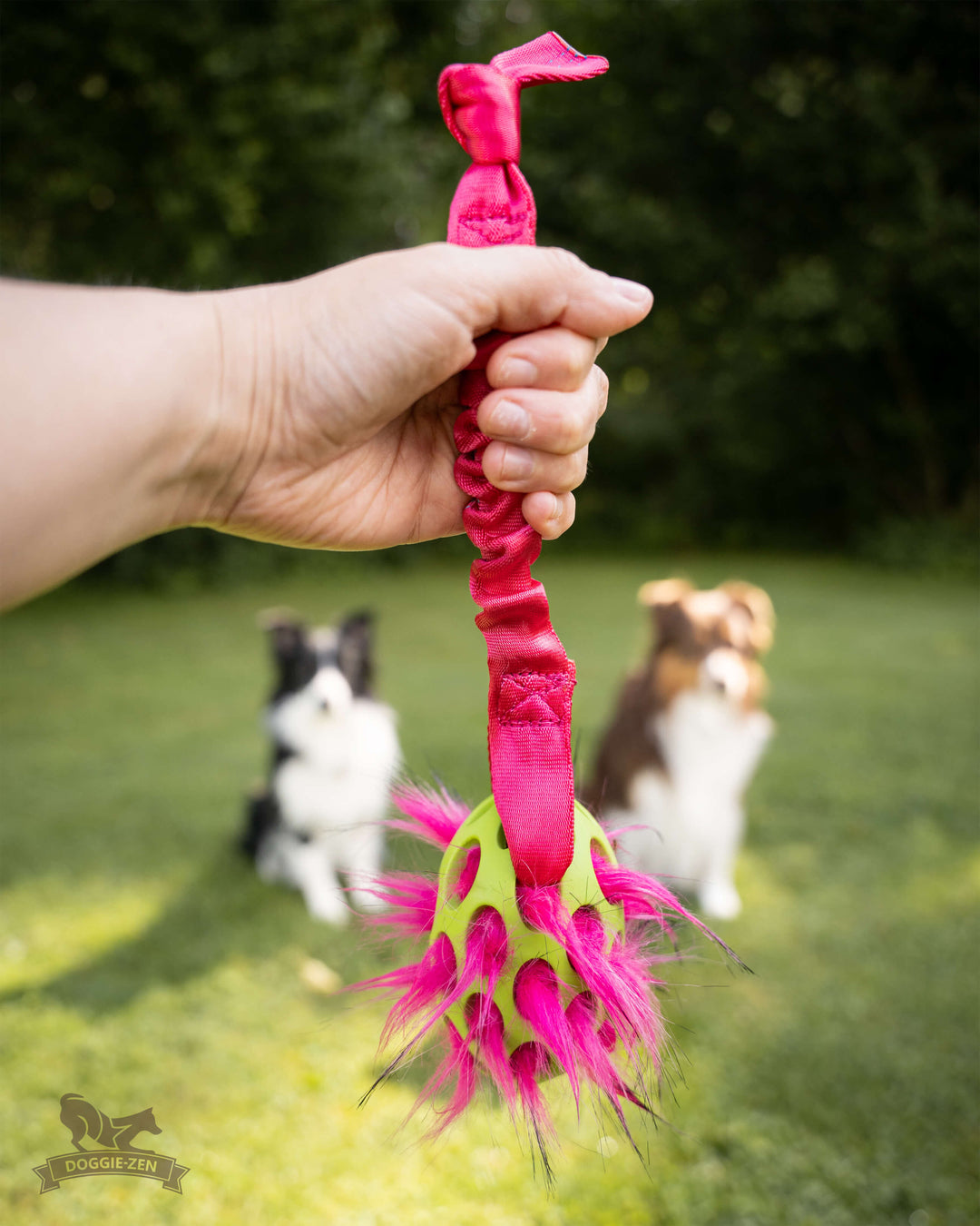 Squeaky Holee Football and Faux Fur Bungee Knot Tug