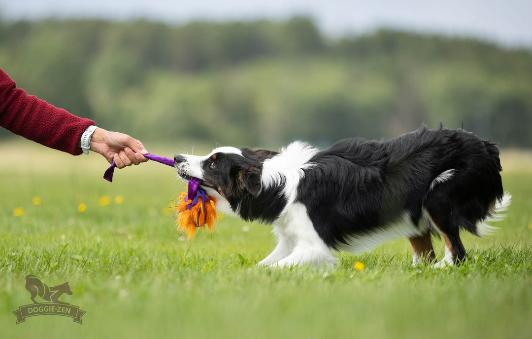 Squeaky Holee Football and Faux Fur Bungee Knot Tug