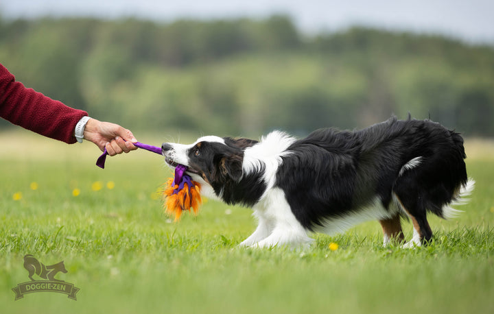 Squeaky Holee Football and Faux Fur Bungee Knot Tug