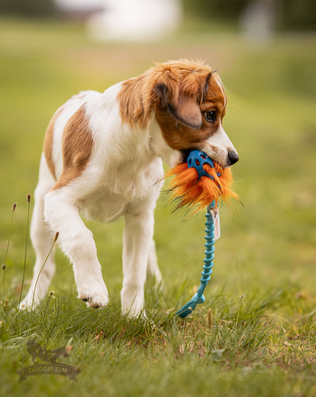 Squeaky Holee Football and Faux Fur Bungee Knot Tug