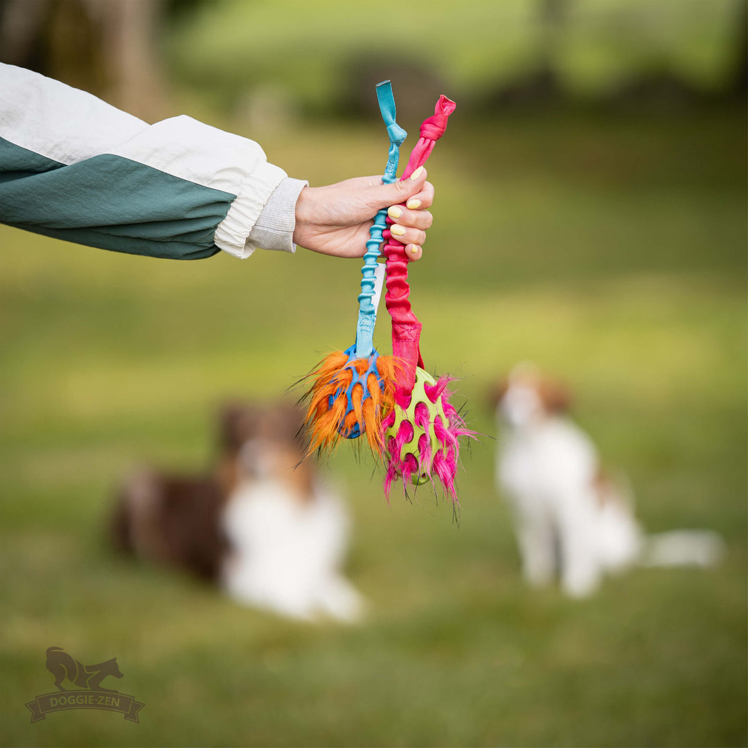 Squeaky Holee Football and Faux Fur Bungee Knot Tug