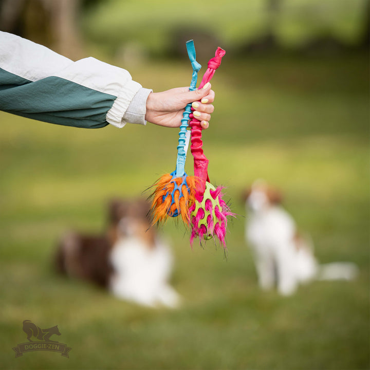 Squeaky Holee Football and Faux Fur Bungee Knot Tug
