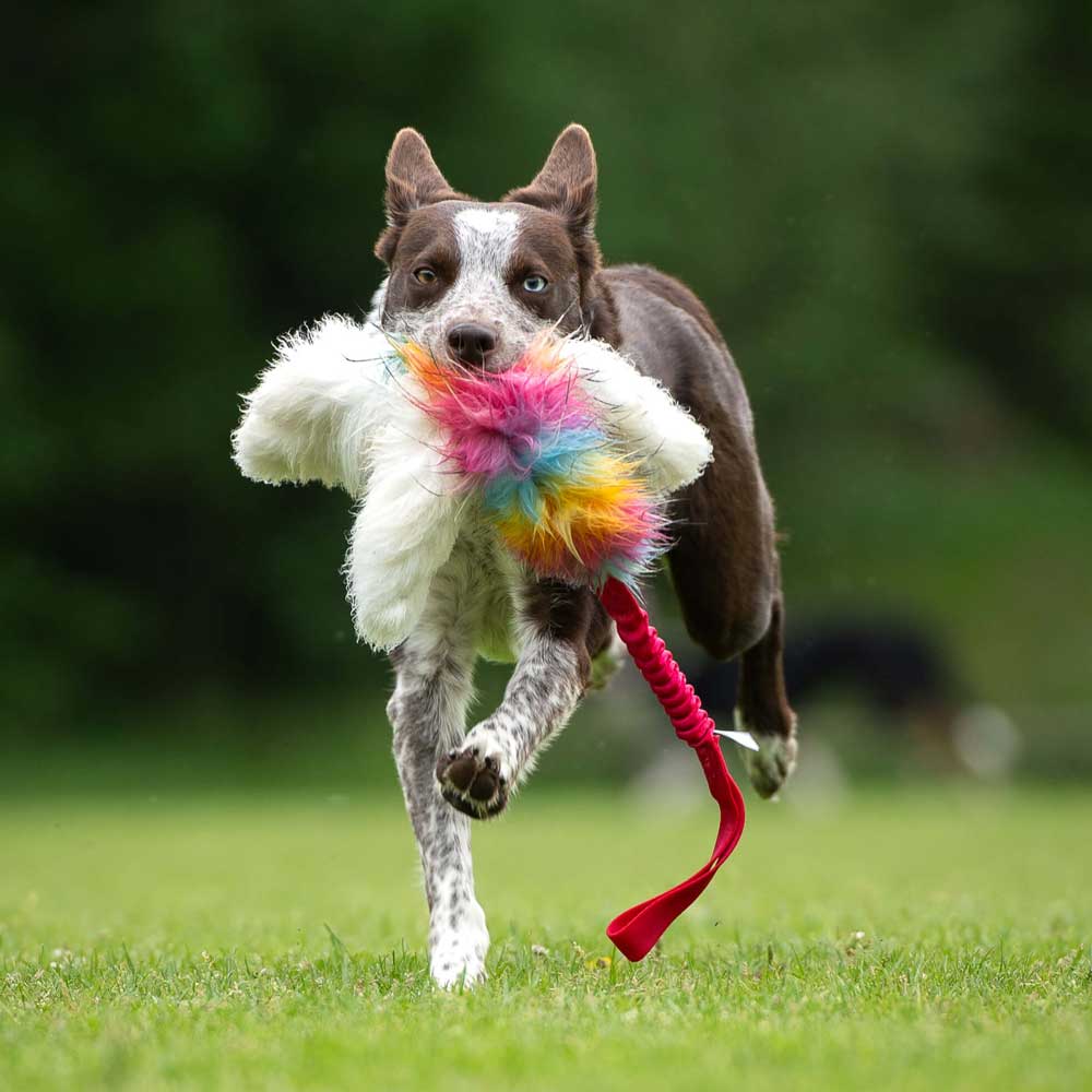 Octopus sheepskin & Faux fur Bungee Tug