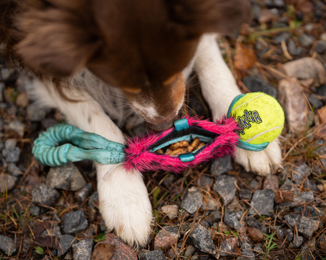 Treat Pocket Bungee Tug with KONG Air Squeaker Ball
