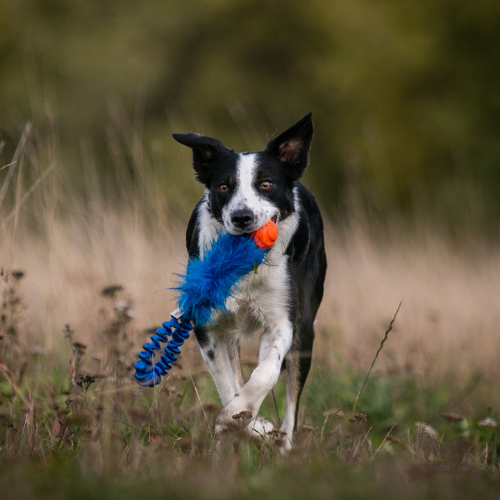 Pocket Full Bungee Faux Fur with Chuckit Tug