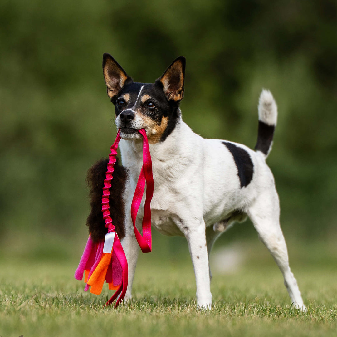 Sheepskin with Fleece Tails Bungee Chaser