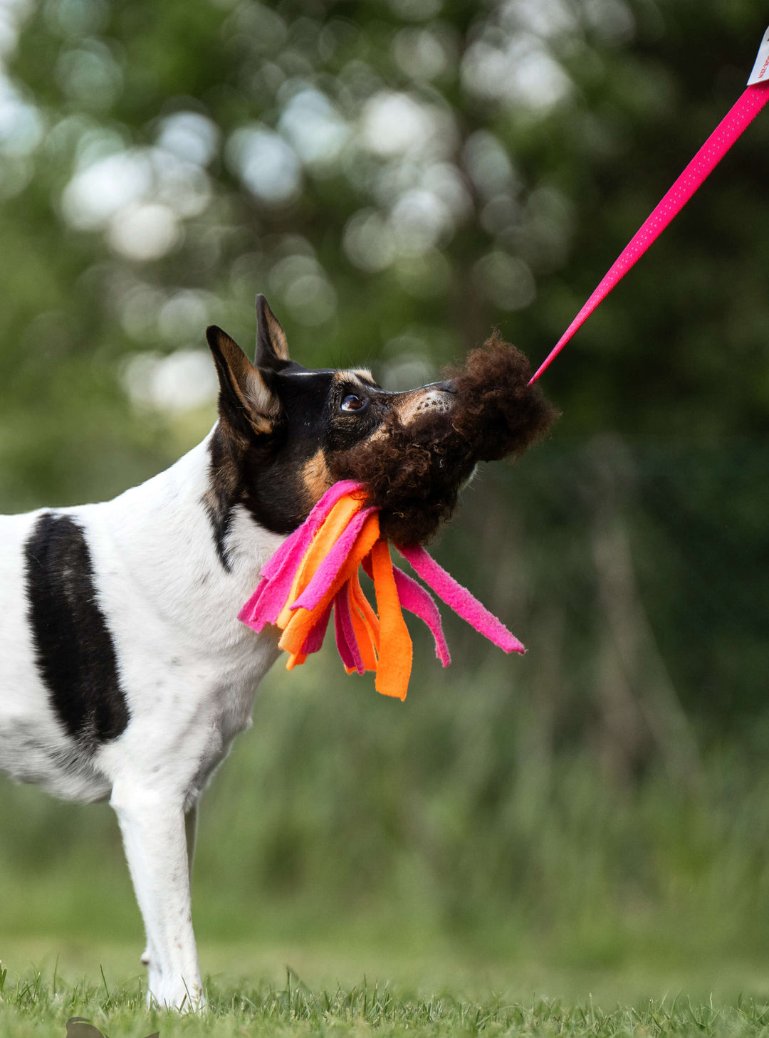 Sheepskin with Fleece Tails Bungee Chaser