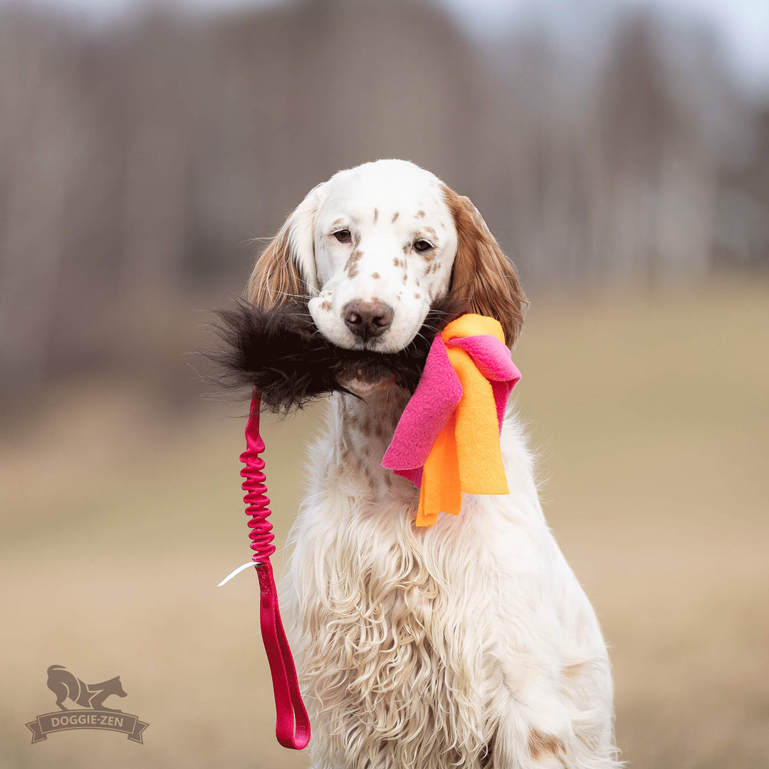Sheepskin with Fleece Tails Bungee Tug