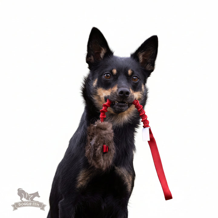 Beaver Bungee Treat Pouch