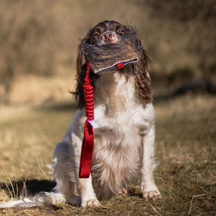 Wild Boar Treat Pouch  Bungee Tug