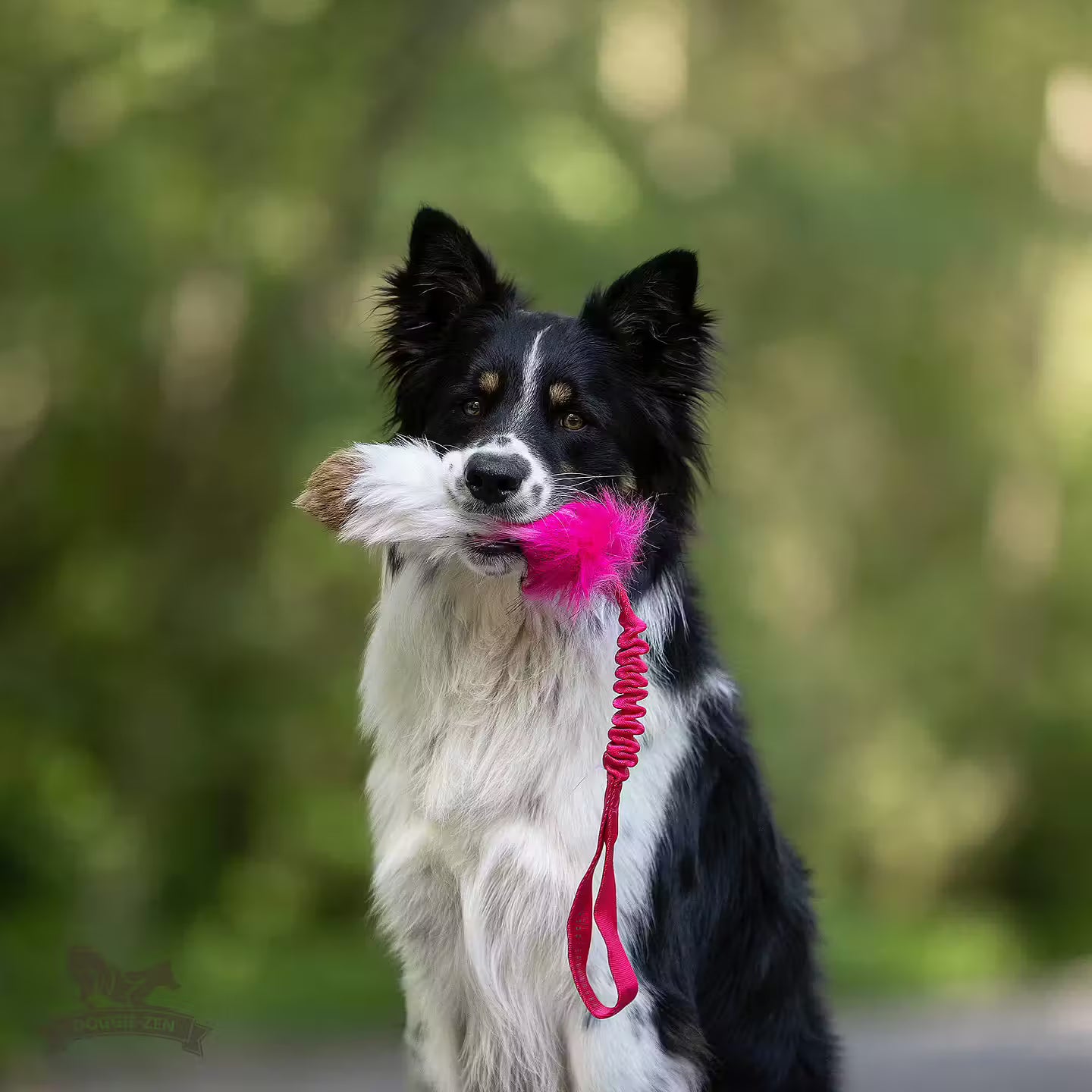All Dog toys