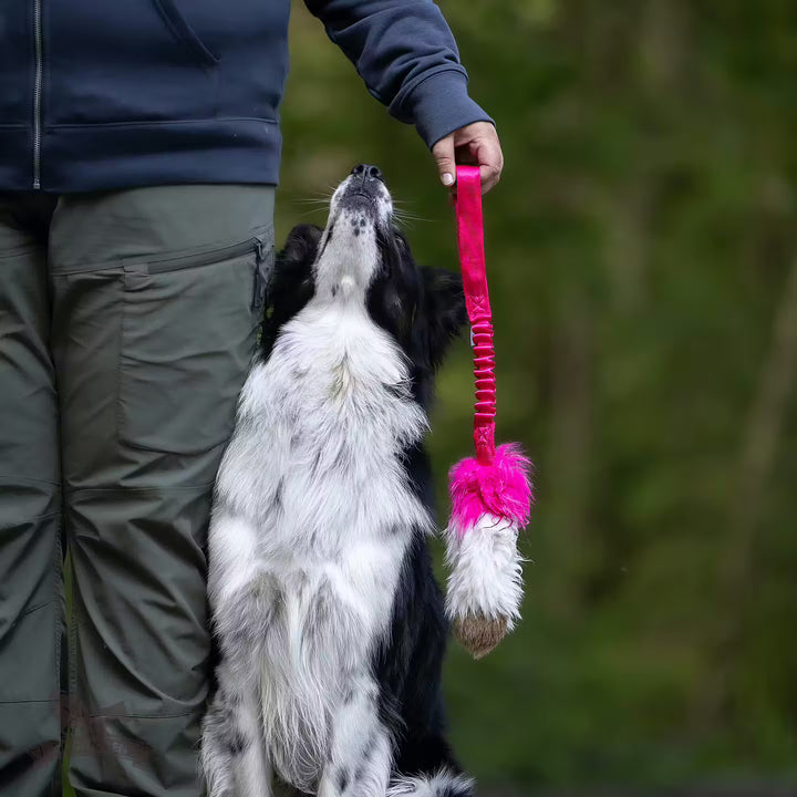 Tricolor Fur Bungee Tug