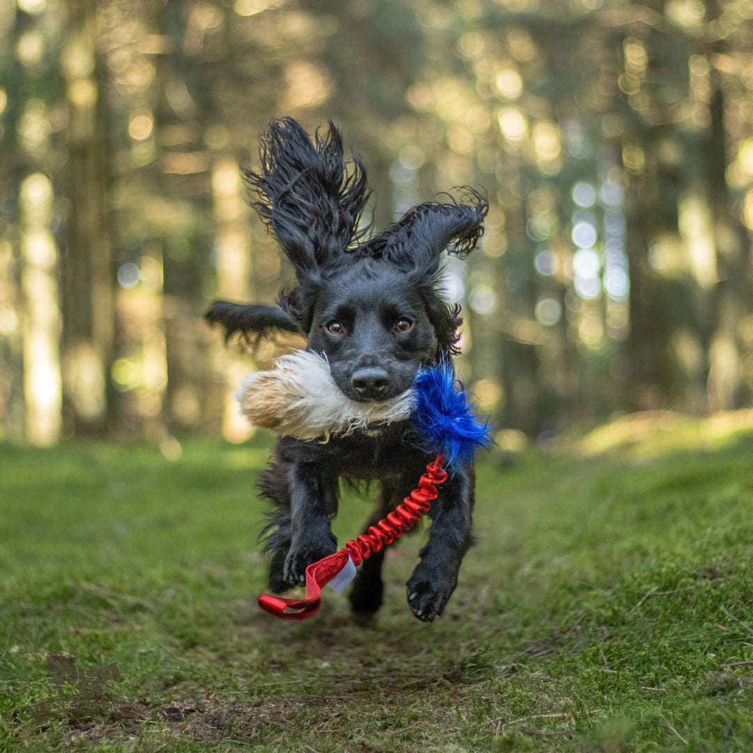 Tricolor Fur Bungee Tug