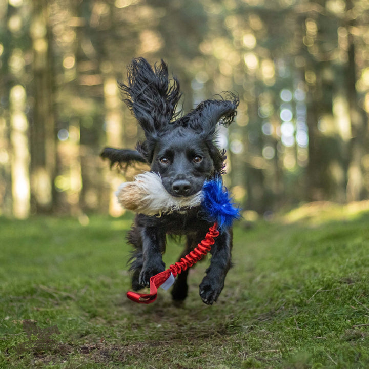 Tricolor Fur Bungee Tug