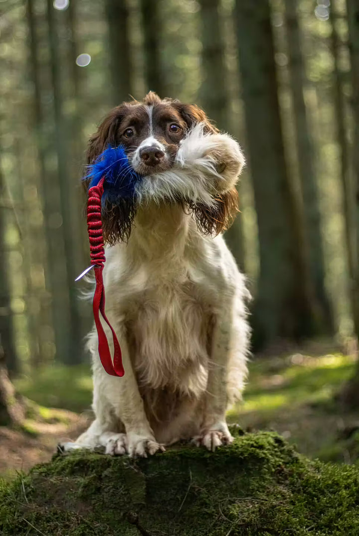 Tricolor Fur Bungee Tug
